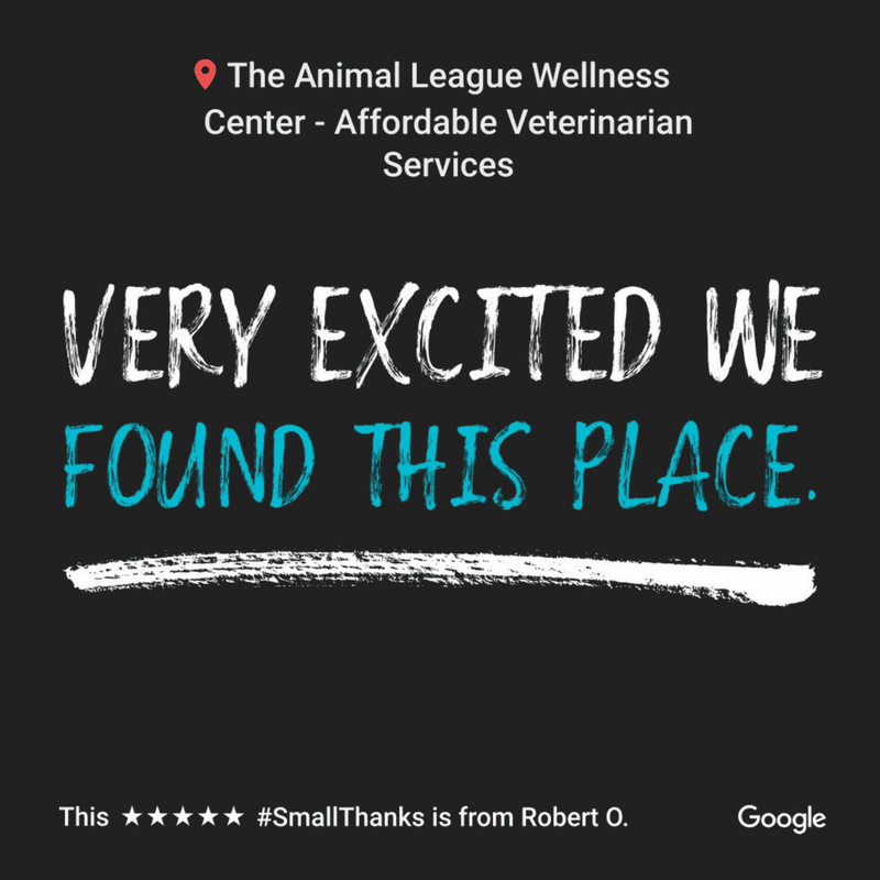 The Animal League Wellness Center 5 star Google review 1